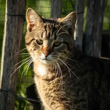 Gutshof Pensionat Bastorf